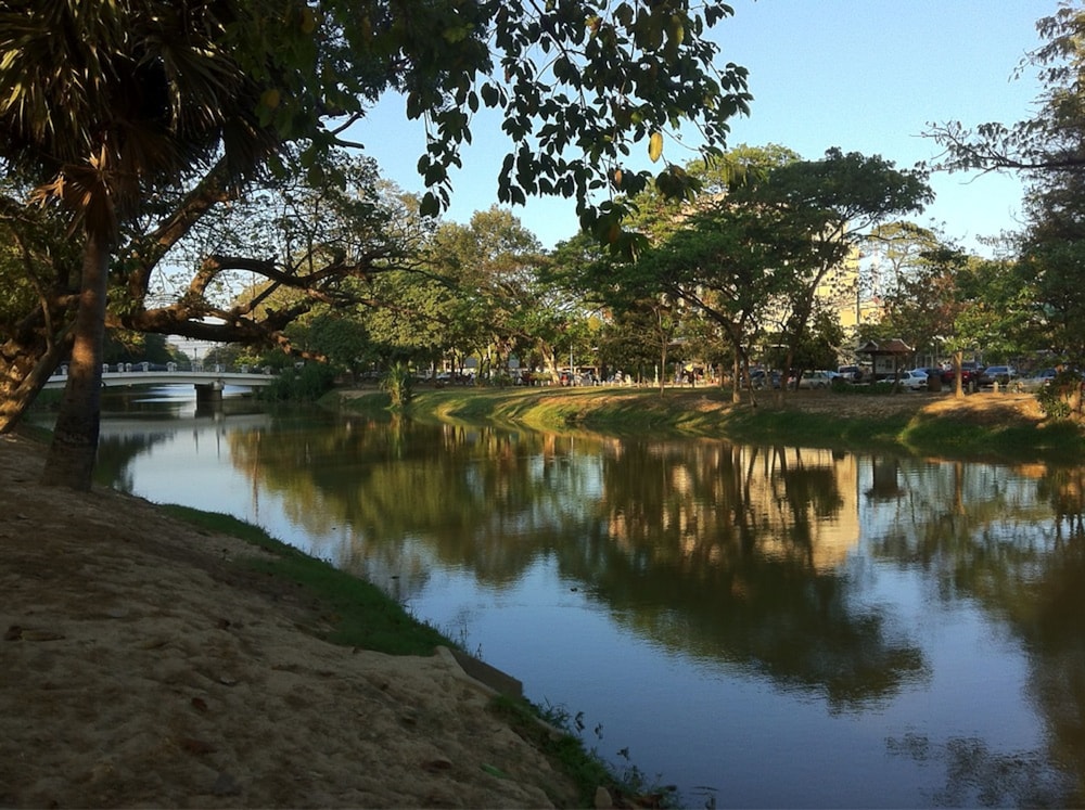 Zita Angkor Hotel 40/50