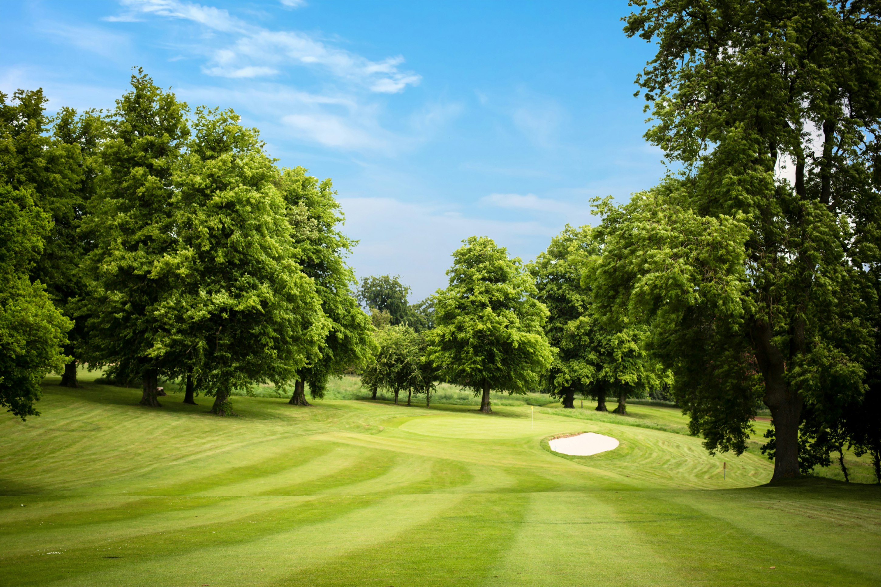 Shendish Manor Hotel & Golf Course 73/77
