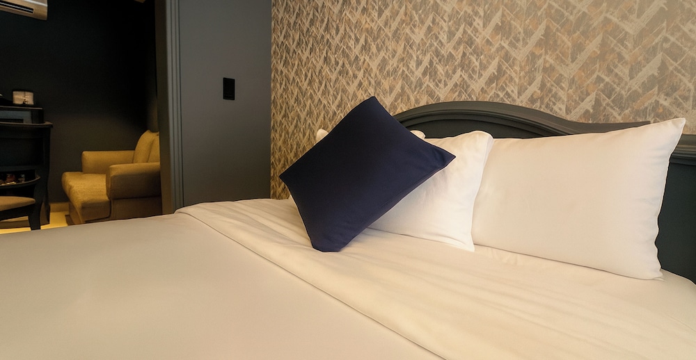 Hive Mexico City by G Hotels 28/56