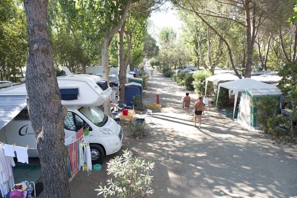 New Camping Le Tamerici 41/50