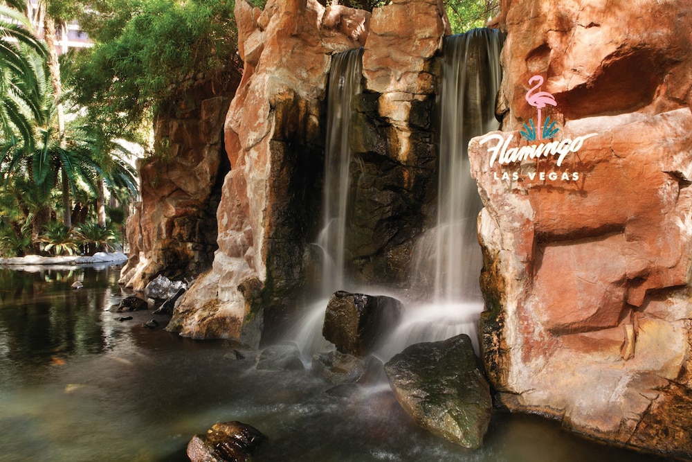 Flamingo Las Vegas Hotel and Casino 50/84