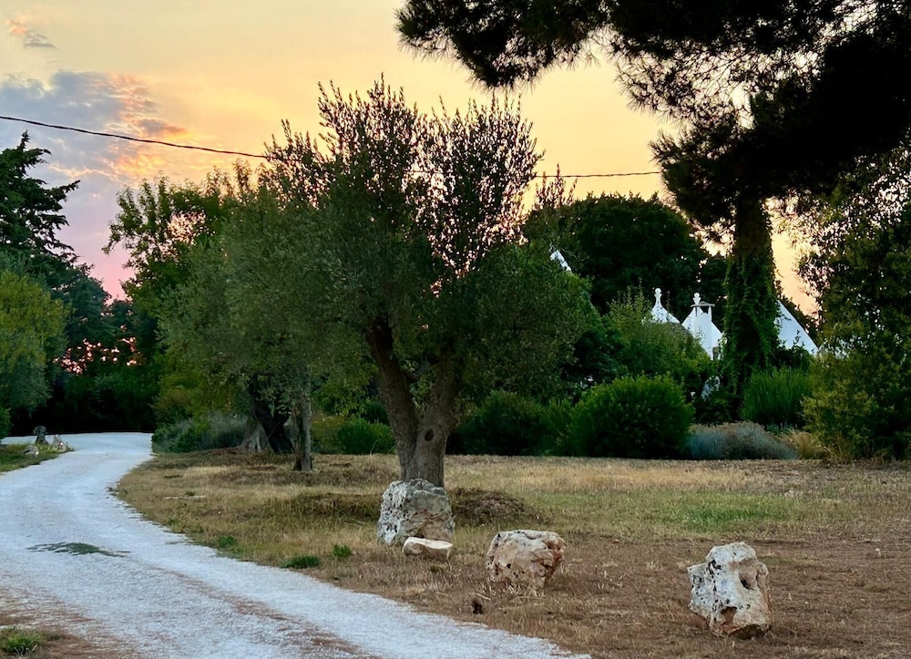 Il Borgo Del Tempo Ritrovato 43/50