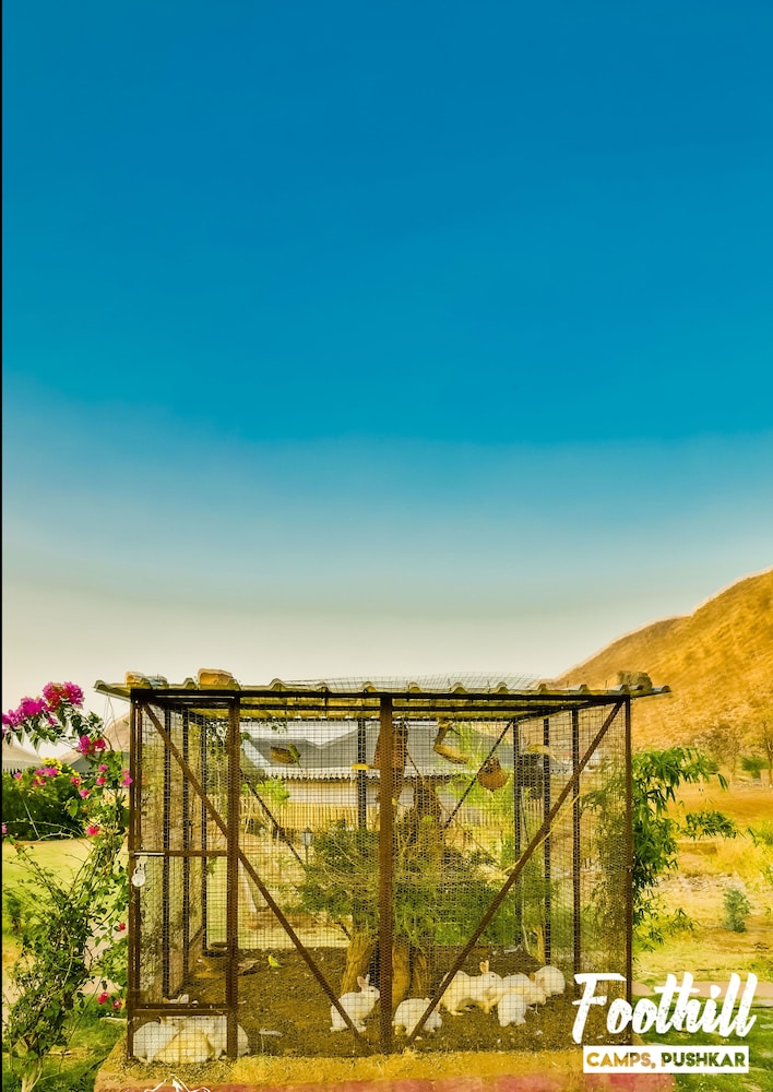 Foothill Pushkar Resort 41/50