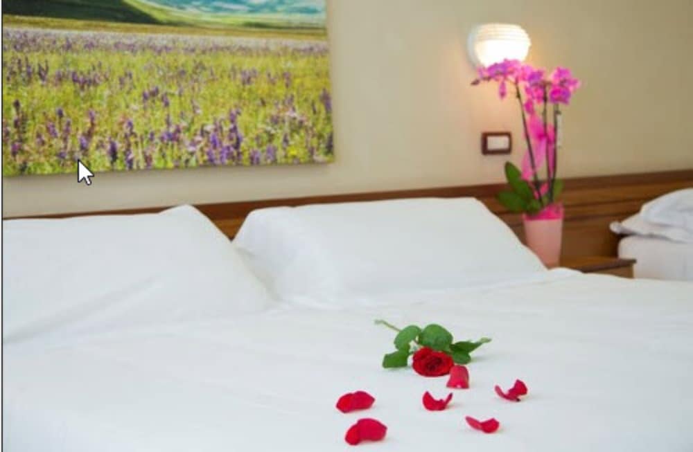 Hotel Delle Rose 19/45
