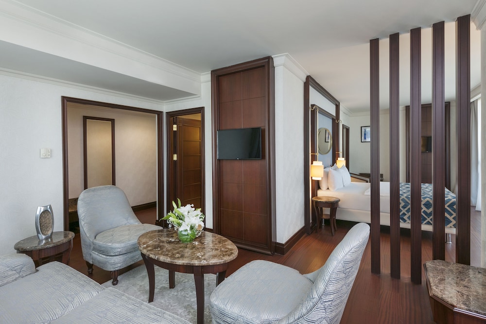 Elite World Istanbul Taksim Hotel 15/50