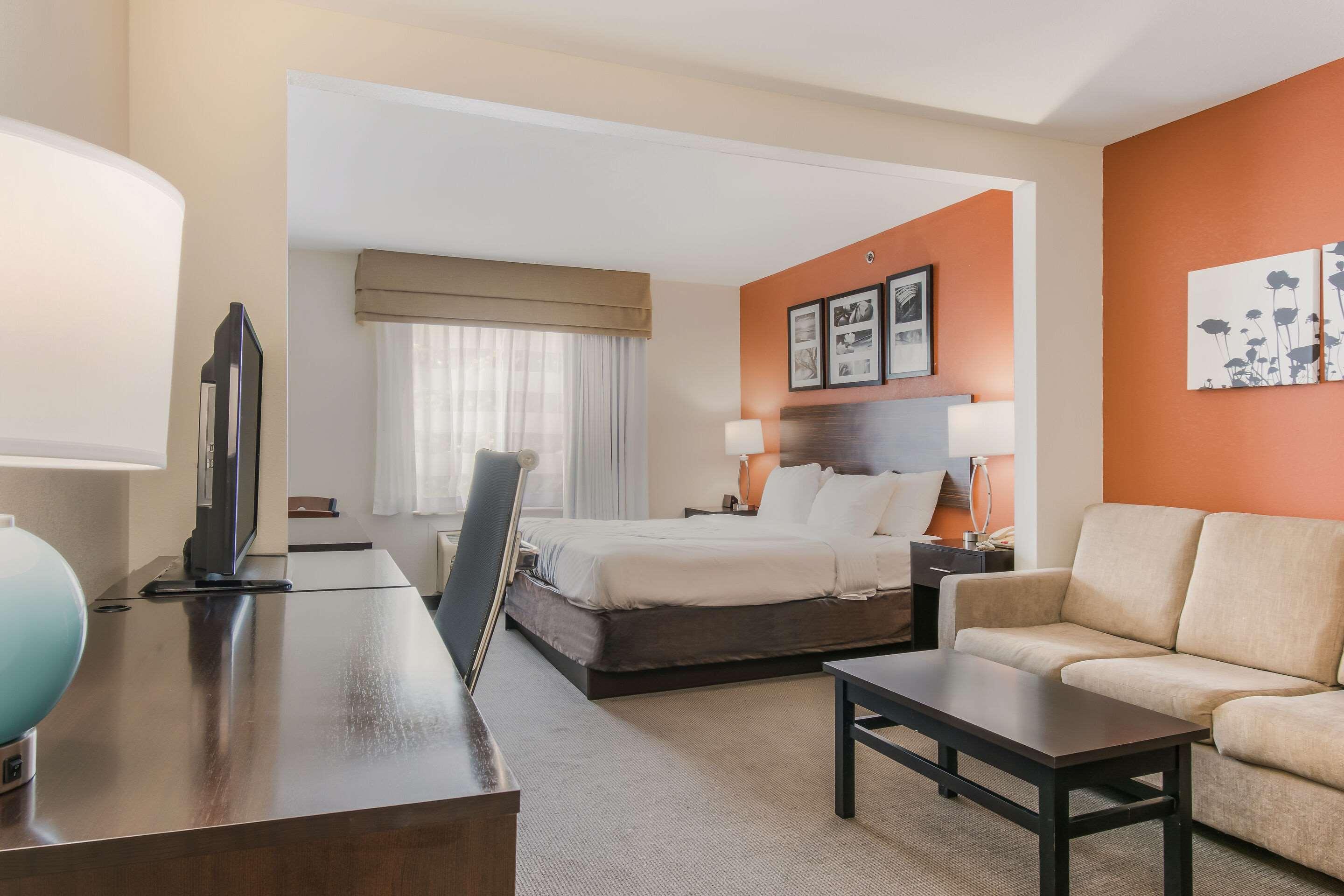 Efficiency, Suite, King Bed، Sleep Inn & Suites Ronks - Lancaster Area 3/6