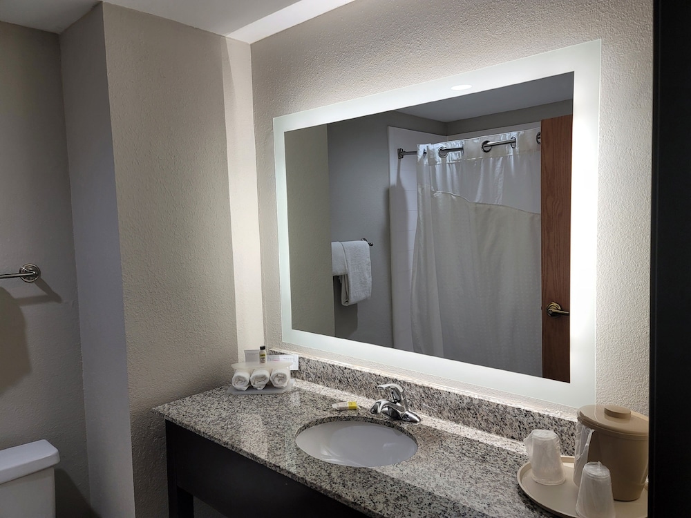 Standard, King Bed, Holiday Inn Express Hotel Suites Wilson Downtown 3/3