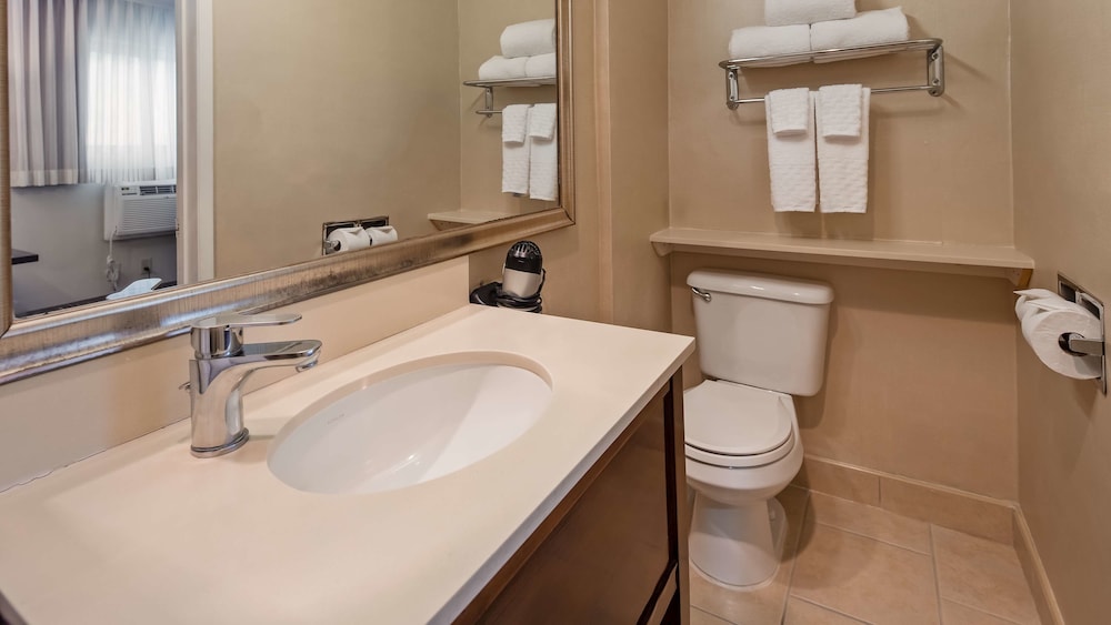 Best Western Royal Palace Inn & Suites 24/46