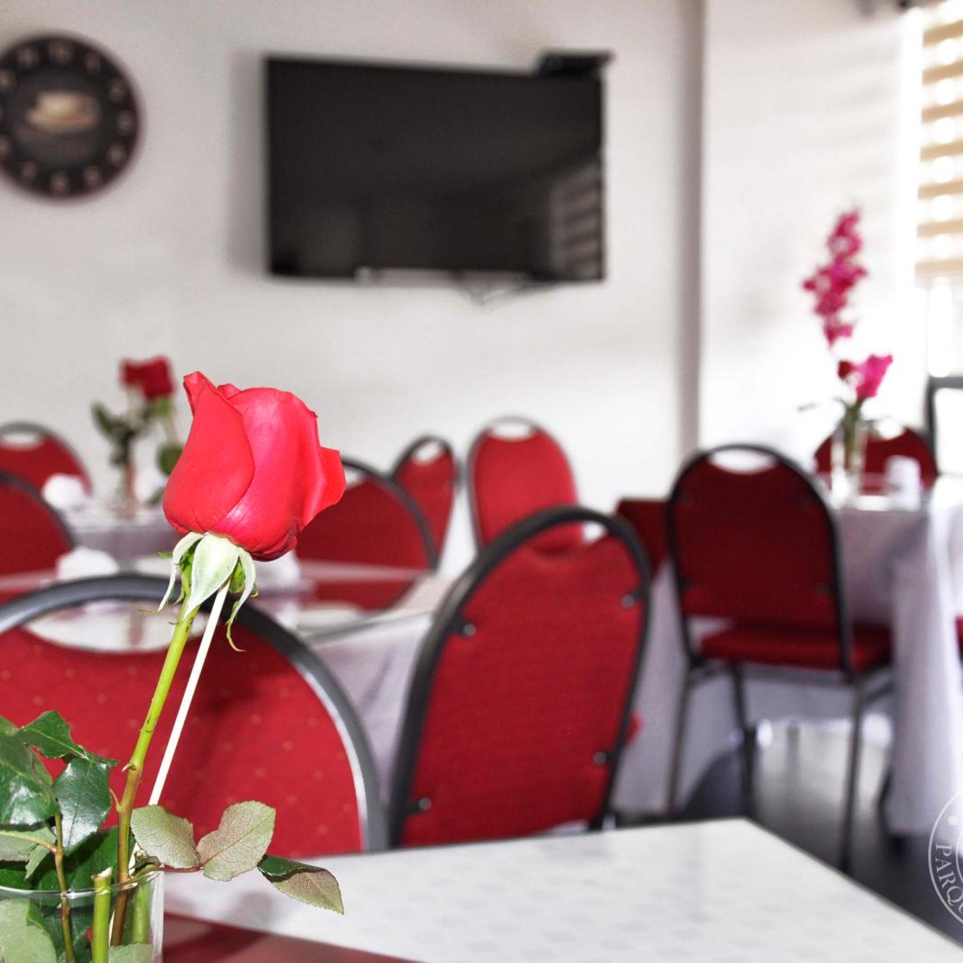 Hotel Parque Santander 34/50