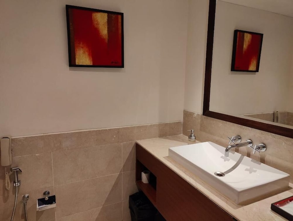 Park Plaza Chandigarh Zirakpur 49/50