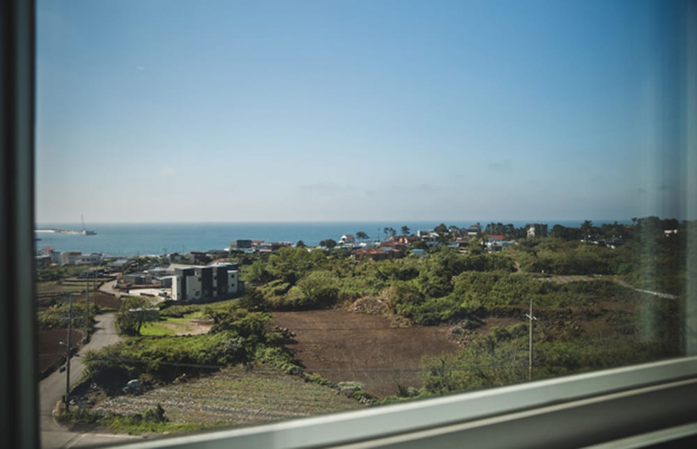 Sallys Jeju 28/31