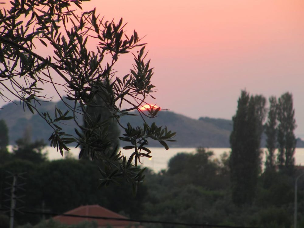 Lassia Hotel 24/34