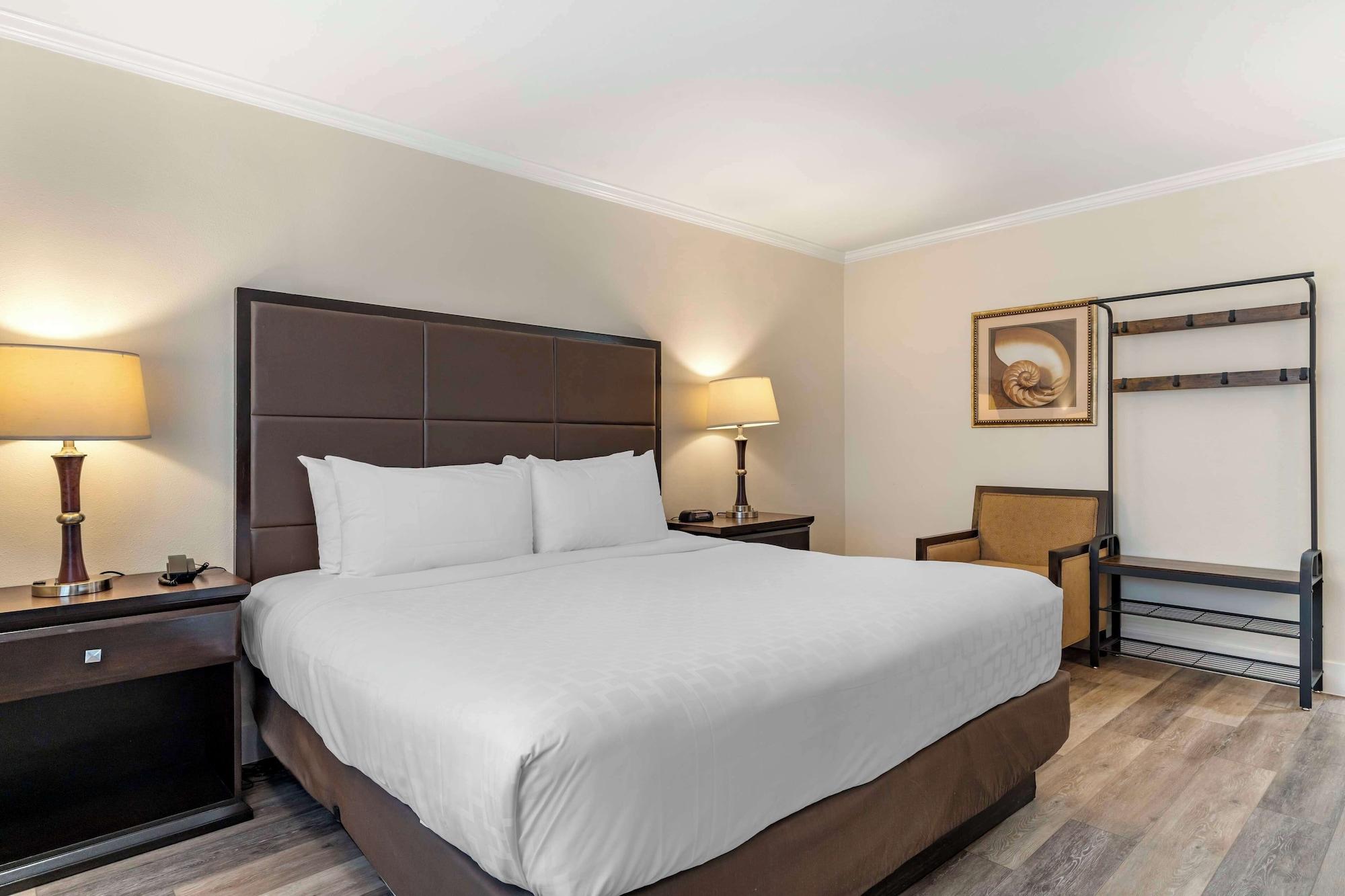 Suite, Multiple Beds
