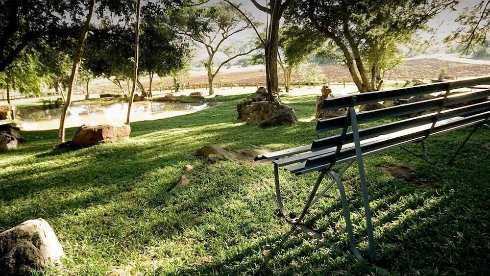 Caracal Lodge 25/36