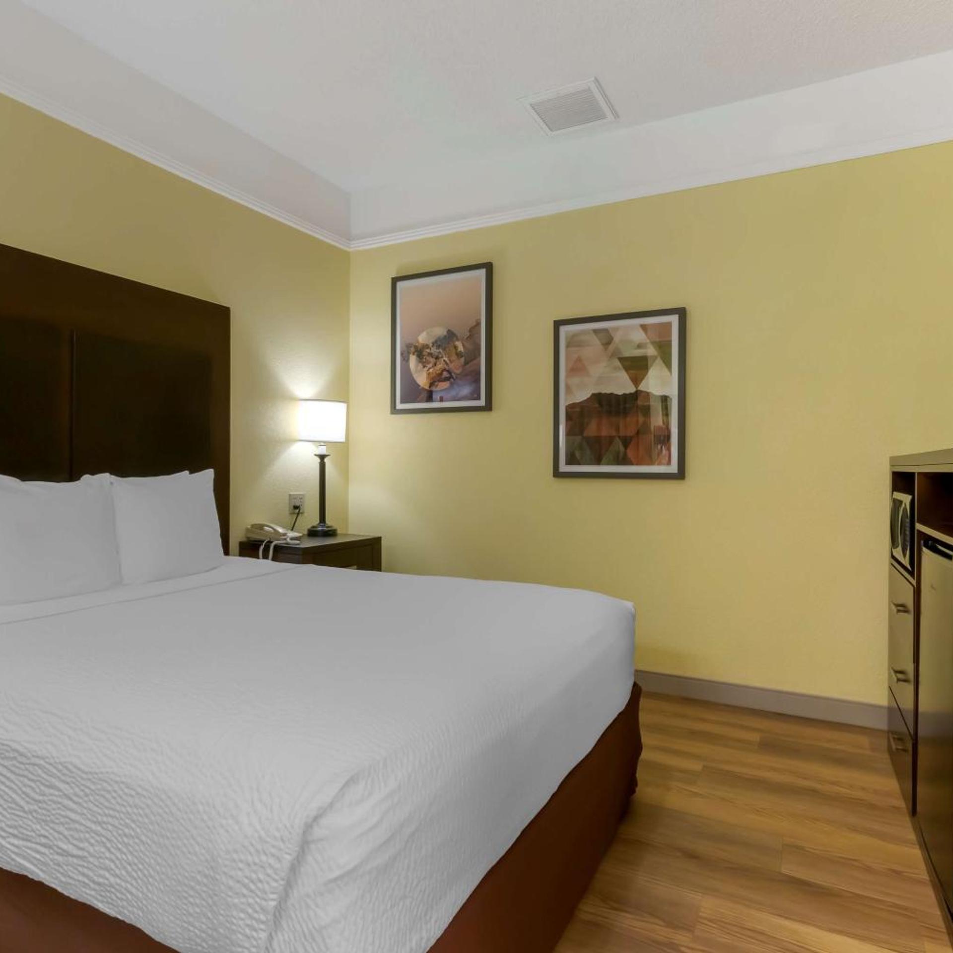 Mini, Suite, Queen Bed