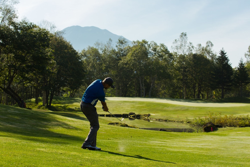 Park Hyatt Niseko Hanazono 23/49