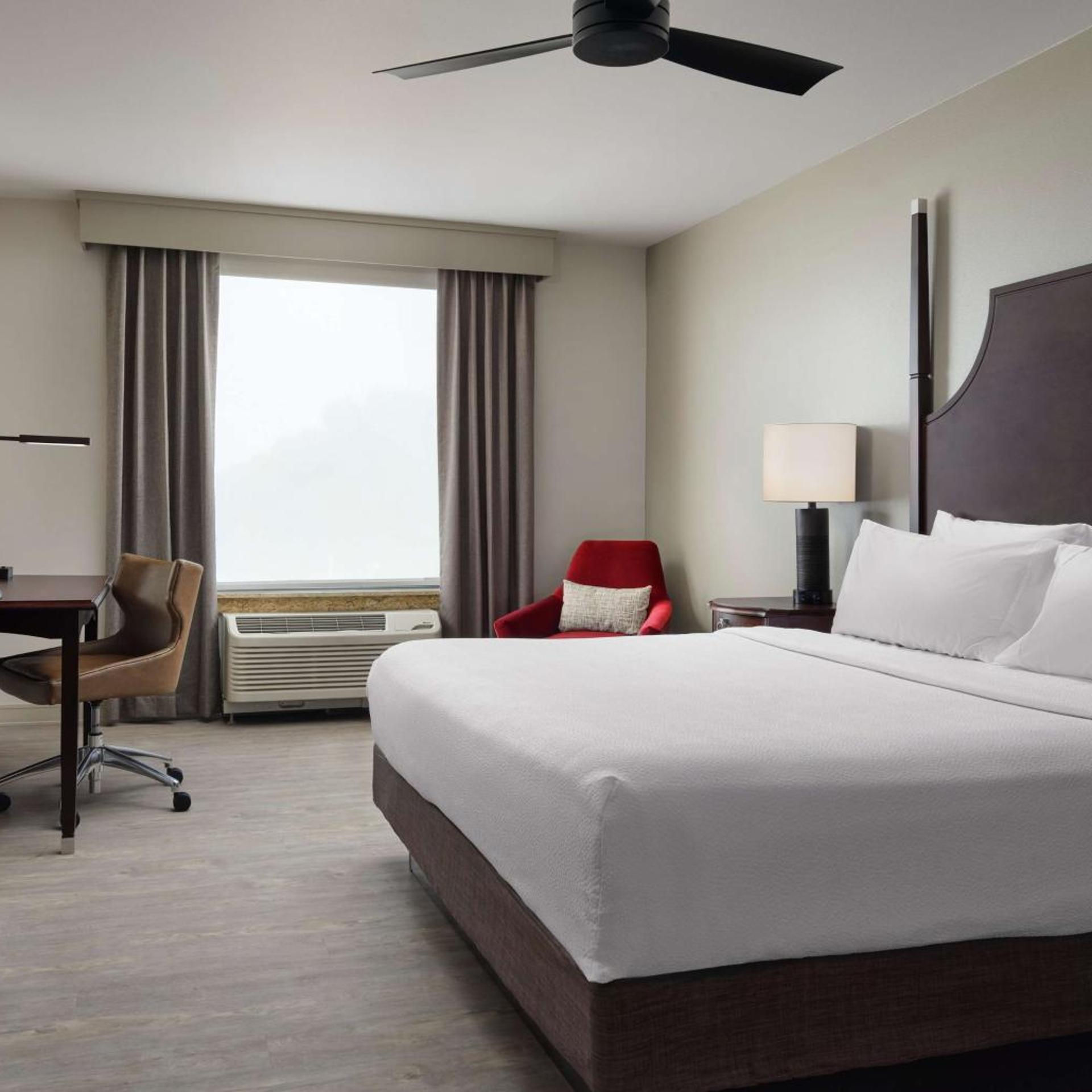 1 Bedroom, Suite, King Bed, Sofa