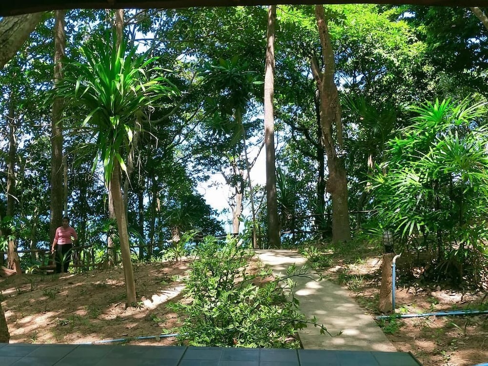 Jungle Hill Beach Bungalow 58/63