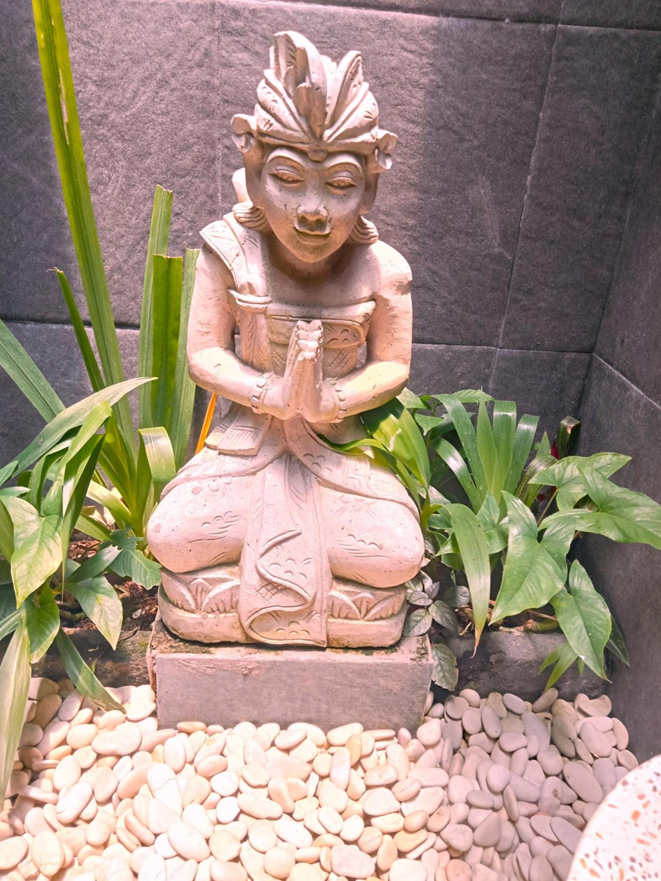 Lily Lane Villas 49/50