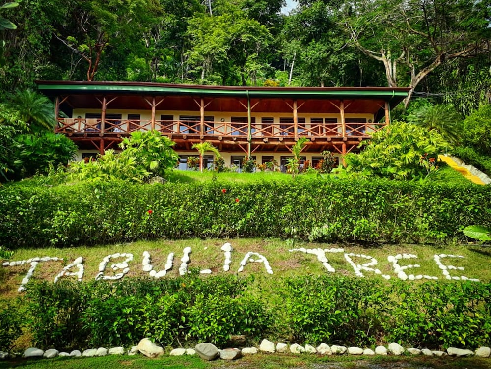 Tabulia Tree Hotel and Villas 10/77