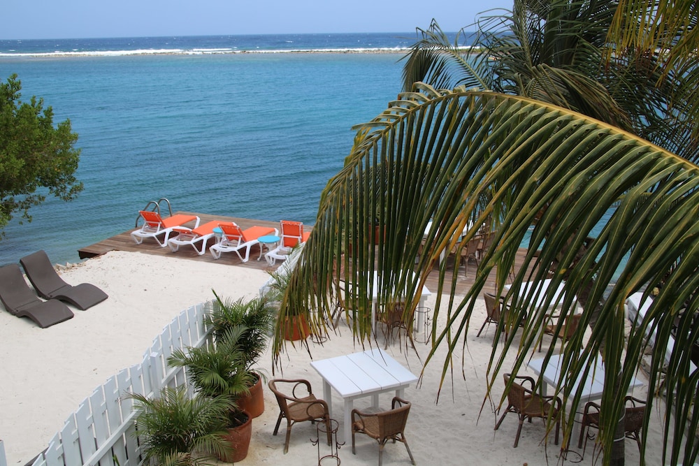 Coral Reef Beach Aruba 46/50