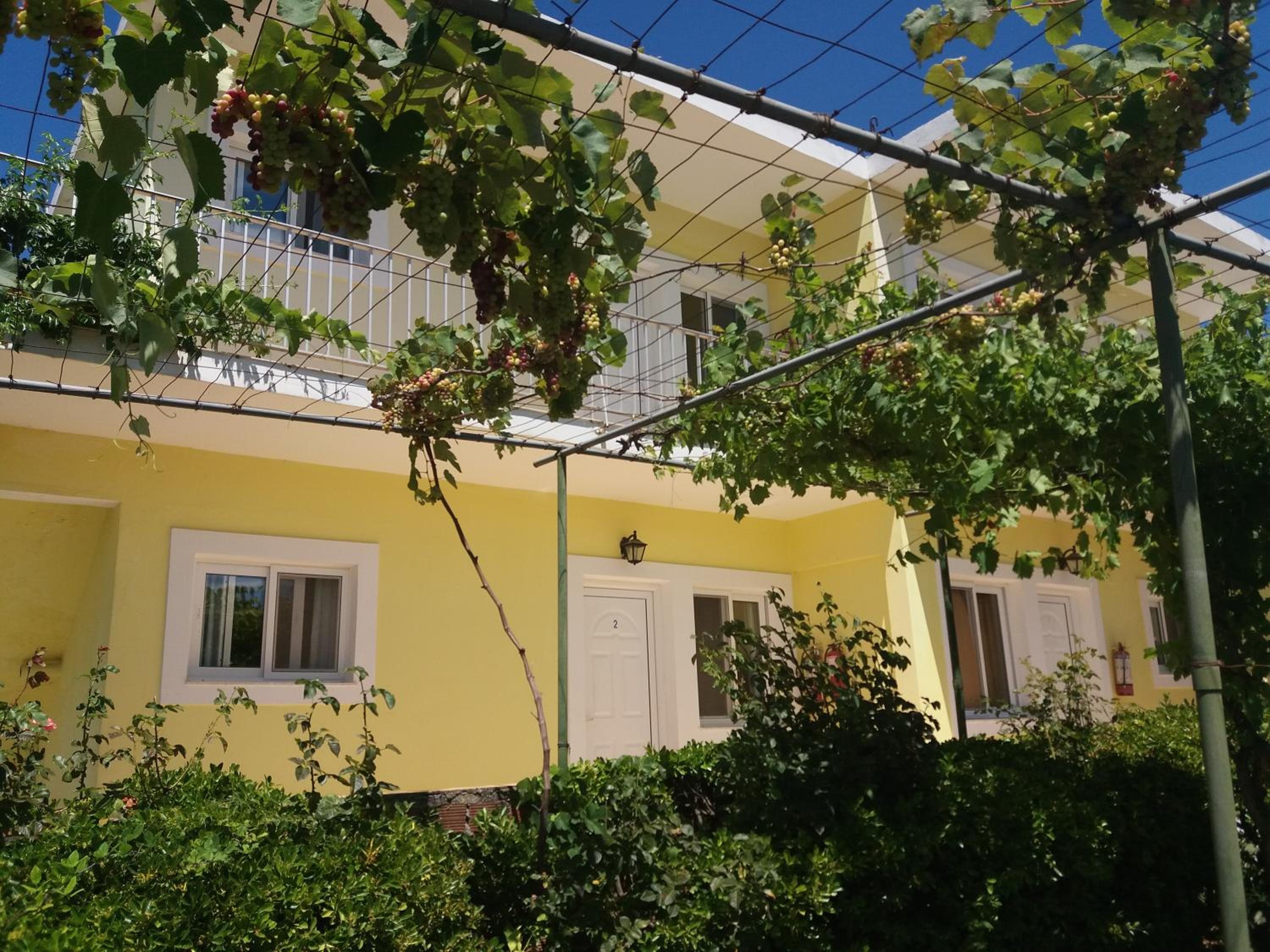 Amadeus Hawai Studios and Apartments photo3