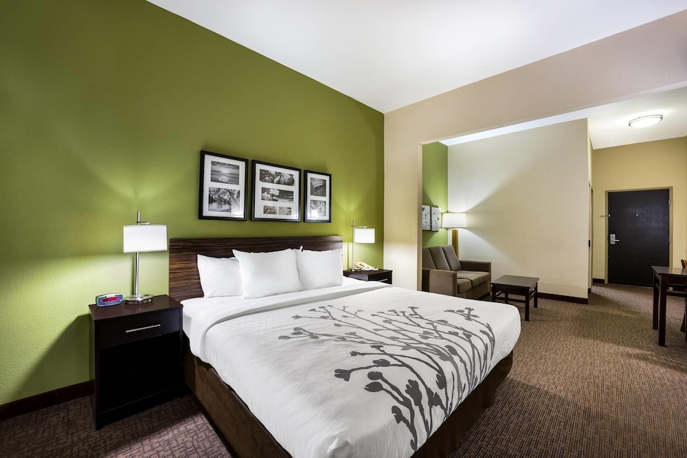 جناح بسرير كينج مع أريكة، Sleep Inn & Suites Valdosta Mall Area 4/6