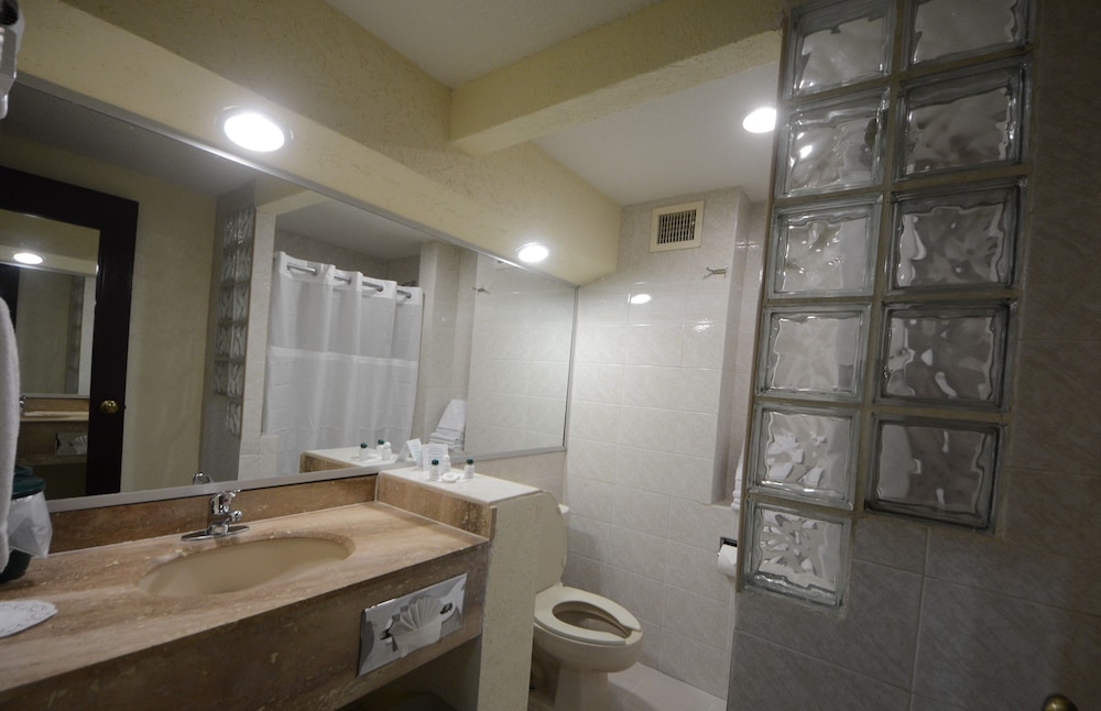 Sicomoro Hotel 50/50