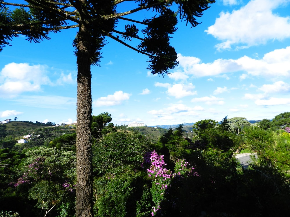 Recanto das Araucarias 60/65