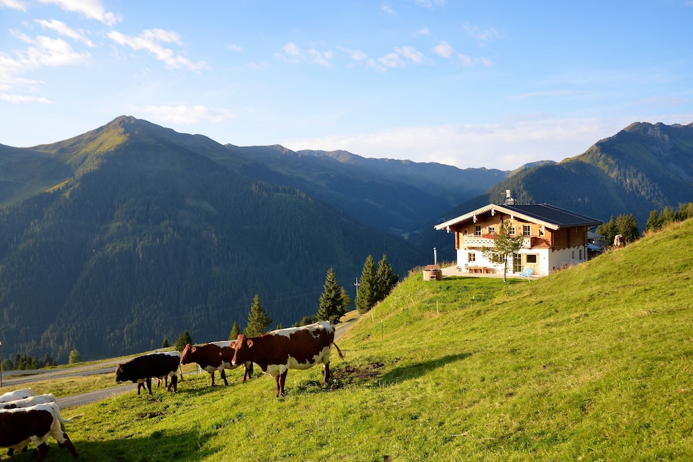 Alpine Premium Chalet Wallegg-Lodge 9/16