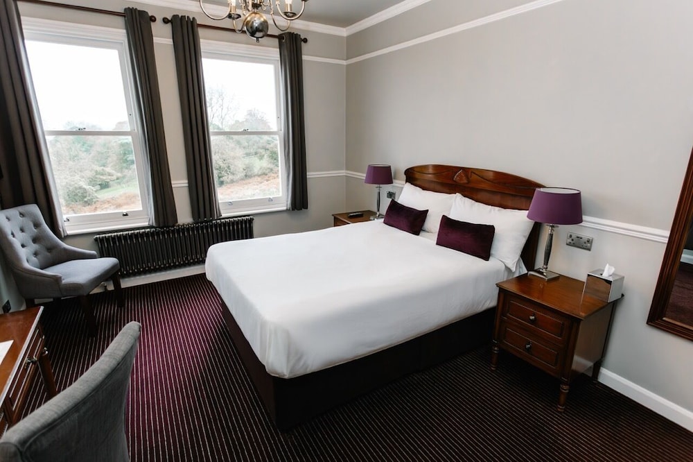 Comfy, King Bed