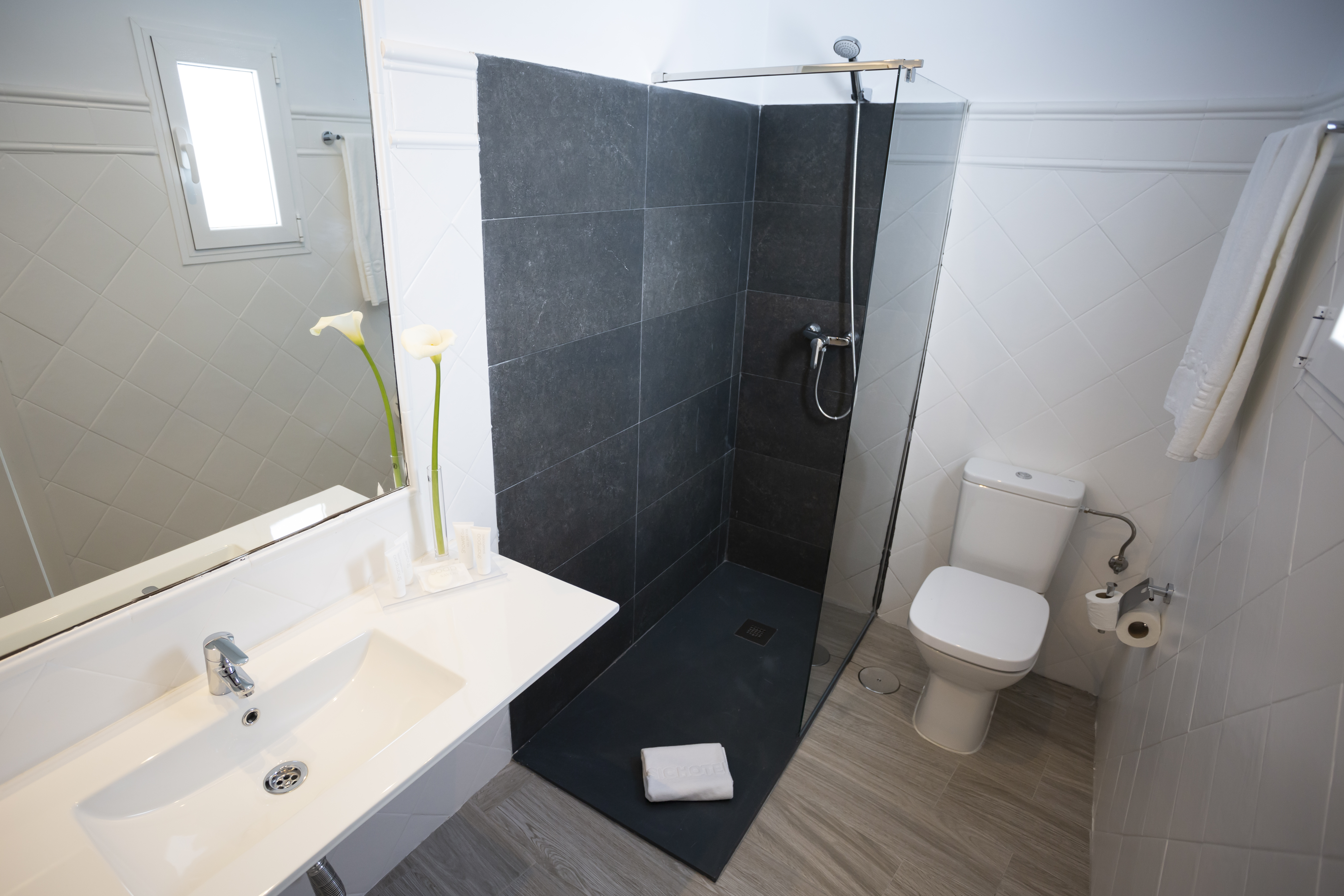 Standard, Single, Double Bed, Basic Hotel Sevilla Catedral 5/6