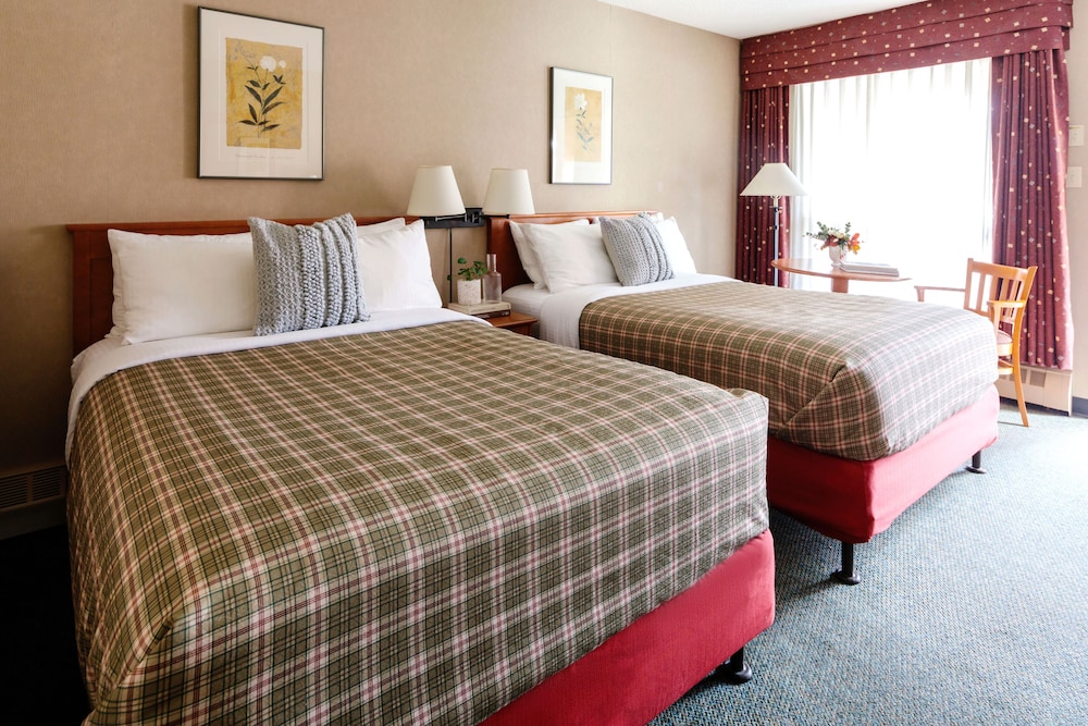 Marmot Lodge 20/50