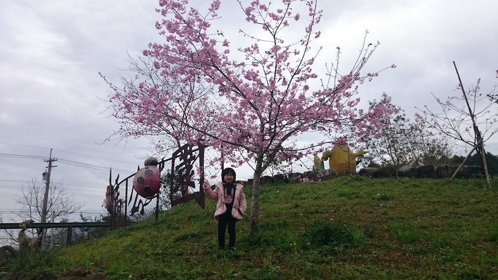Sakura Villa 22/38