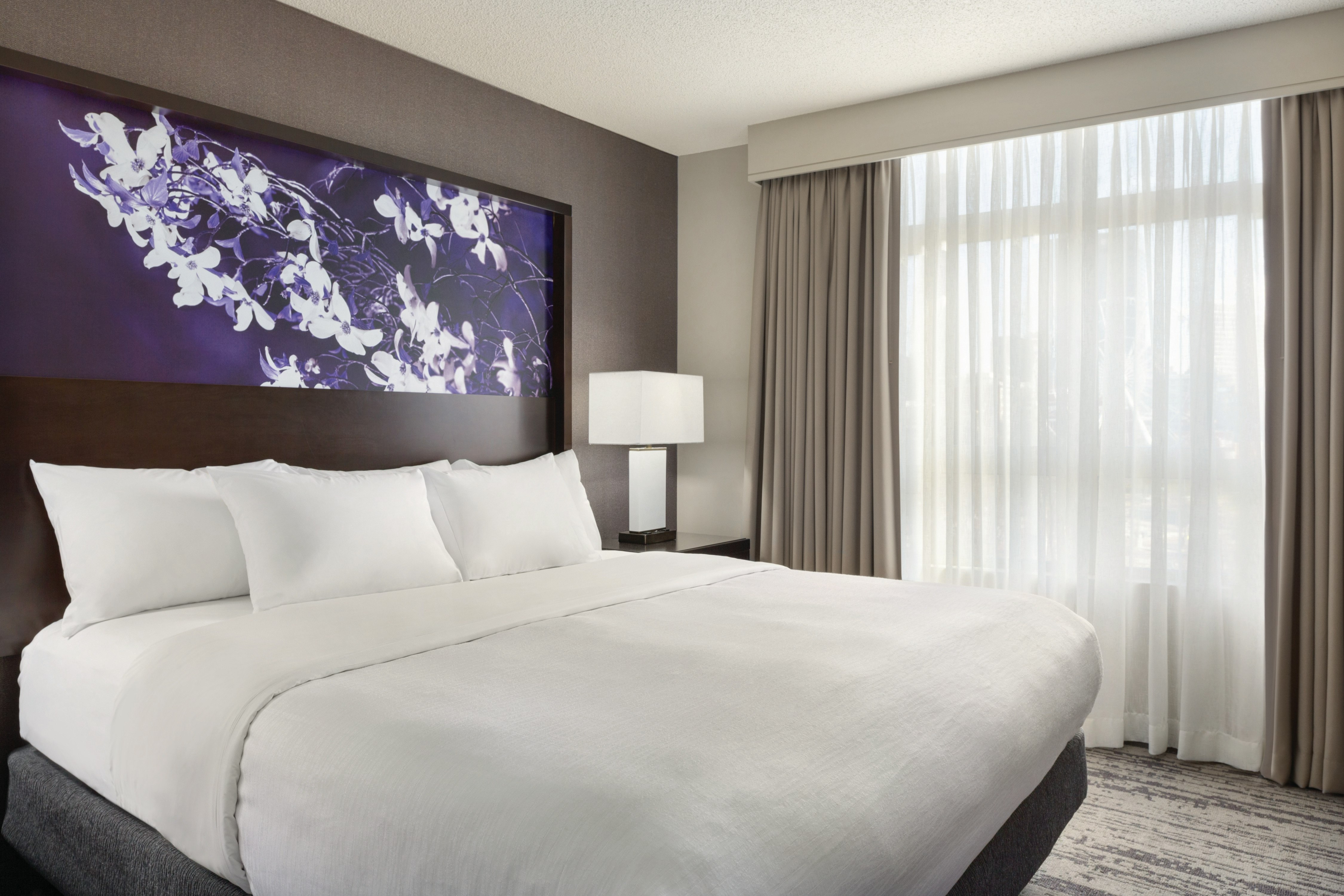 SUITE, KING BED, ACCESSIBLE