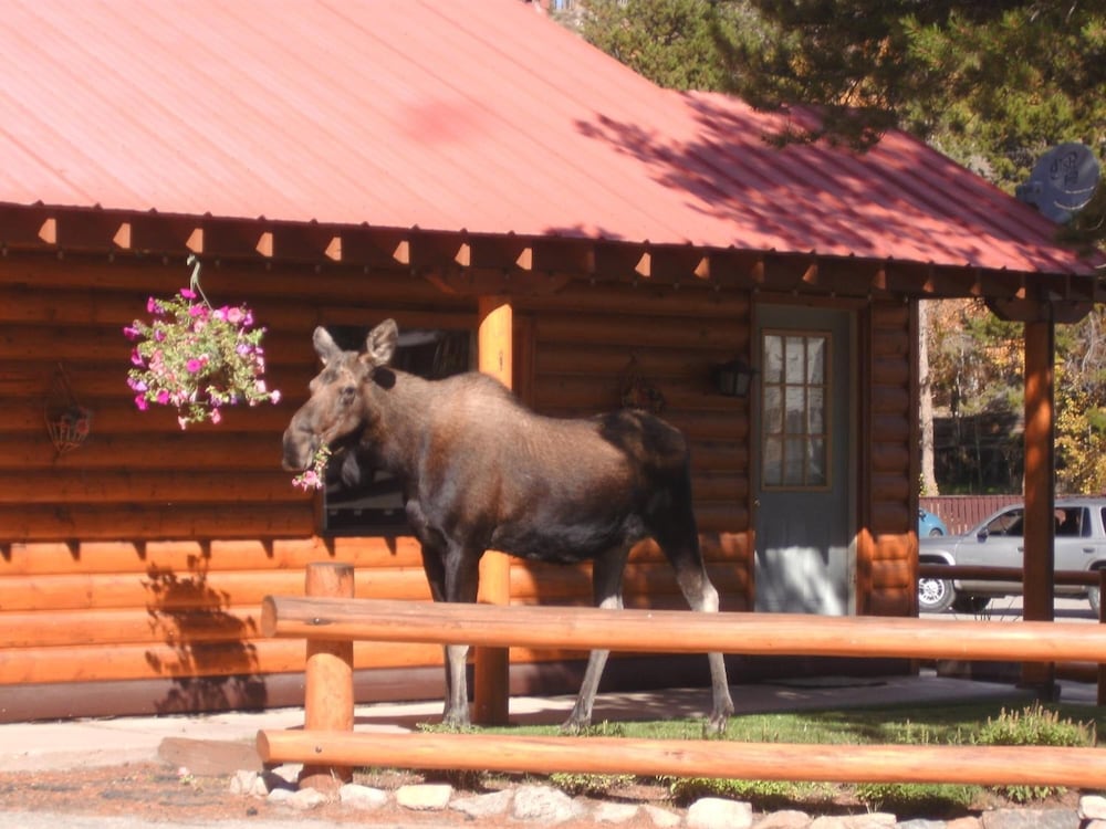 Lone Eagle Lodge 11/66
