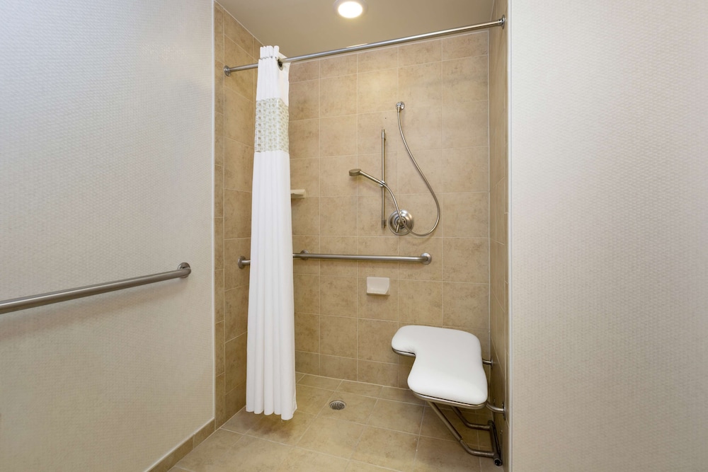 Hampton Inn Houston Near The Galleria 7/34
