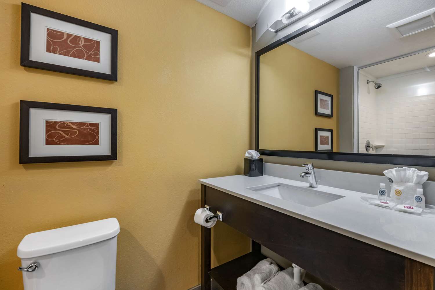 Comfort Suites Fort Lauderdale Airport South & Cruise Port 12/13