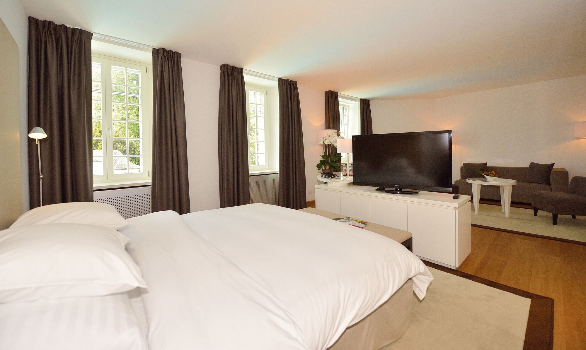 junior suite, park view
