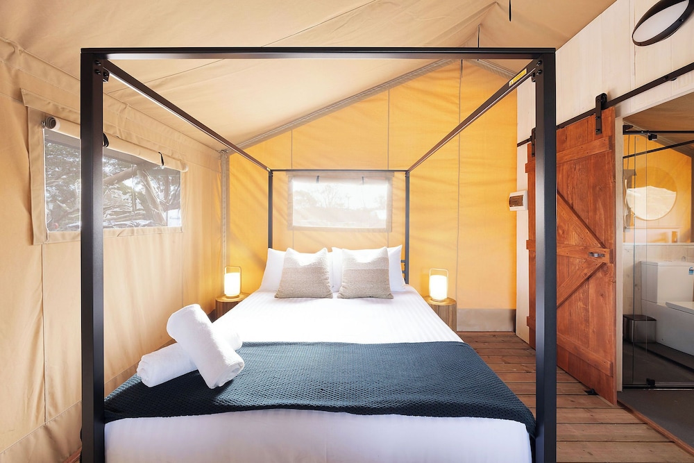 SAFARI, SUPERIOR, TENT