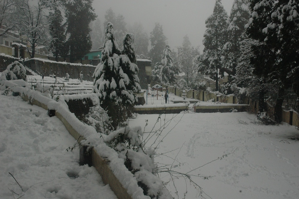 Shervani Hilltop 21/50