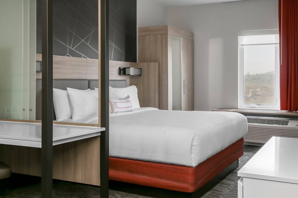 SpringHill Suites by Marriott Auburn 9/44