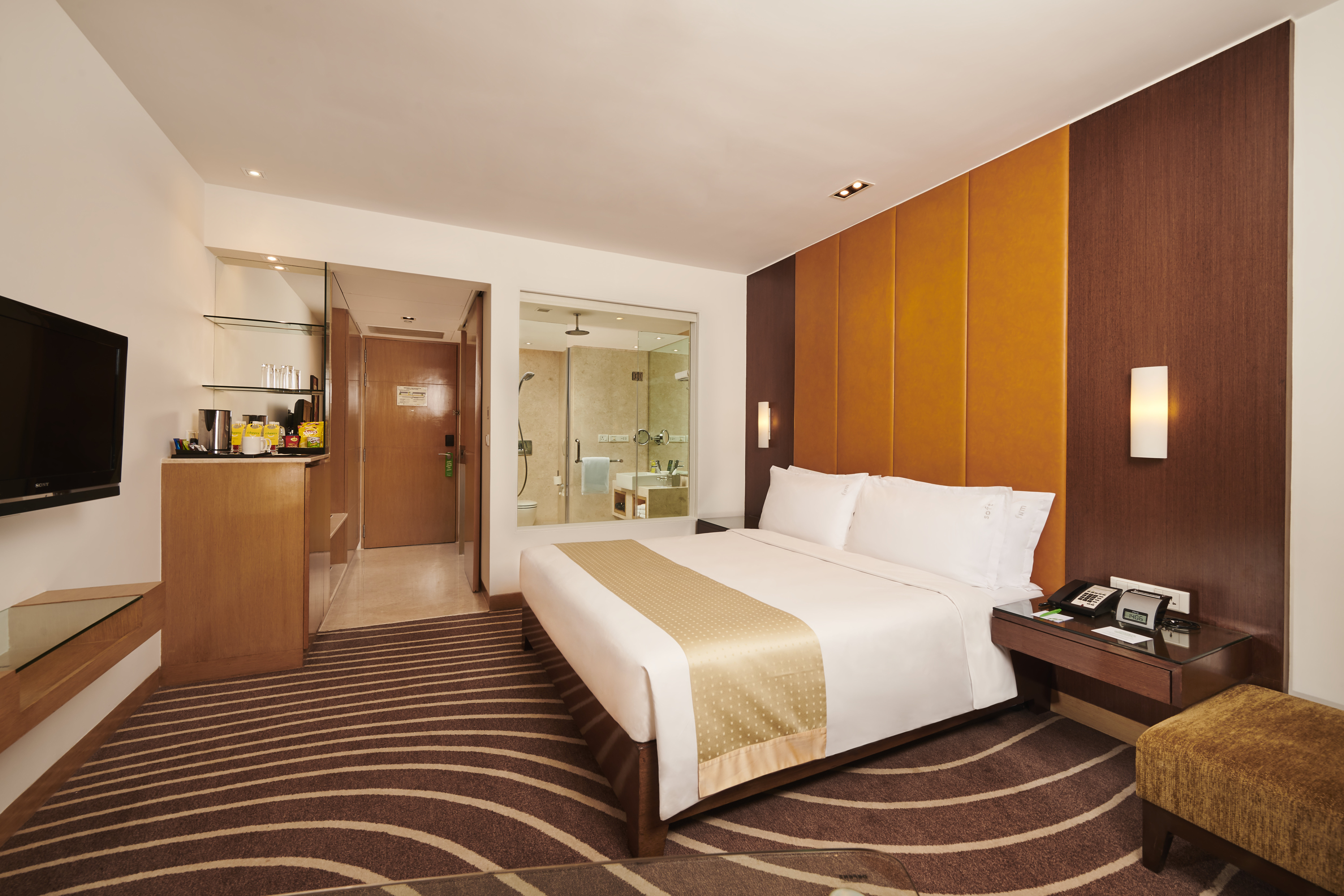 HOLIDAY INN MUMBAI INTERNATIONAL AIRPORT 20/72