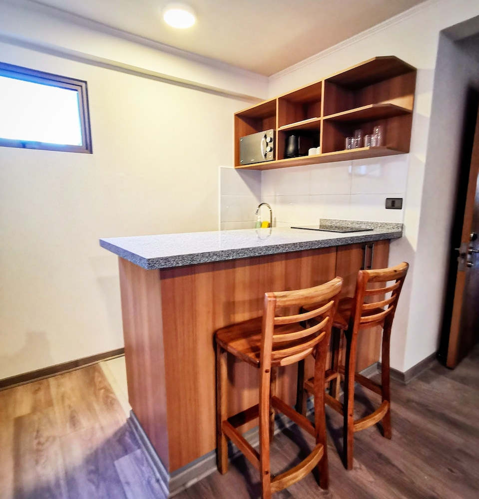APART HOTEL VIVA PROVIDENCIA 5/30