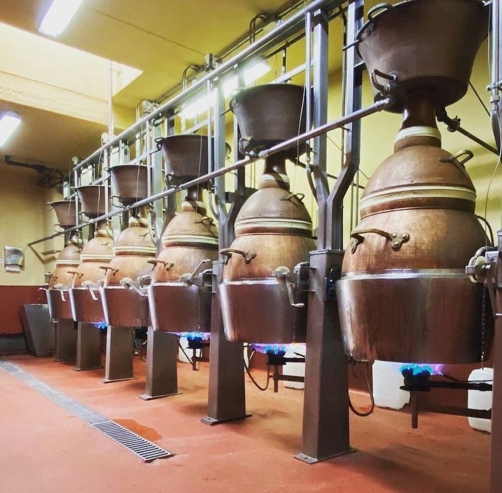 Hotel Finca Malvasia 50/60