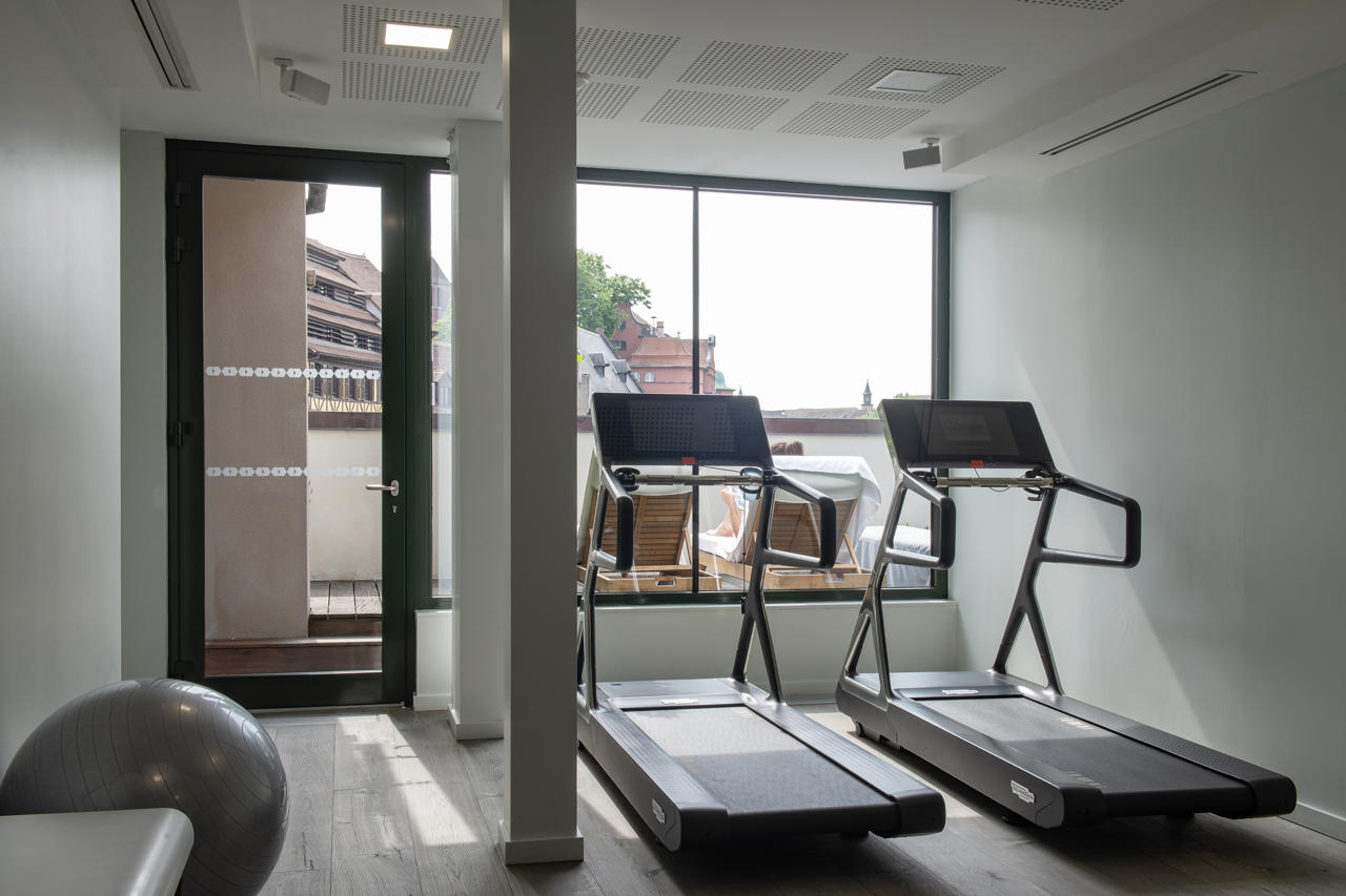 Hotel & Spa Regent Petite France 22/48