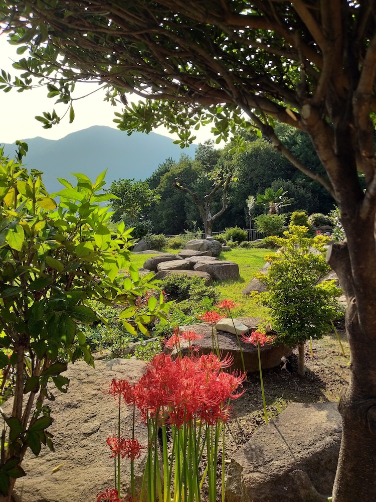 A Day In Geoje Pension 35/44