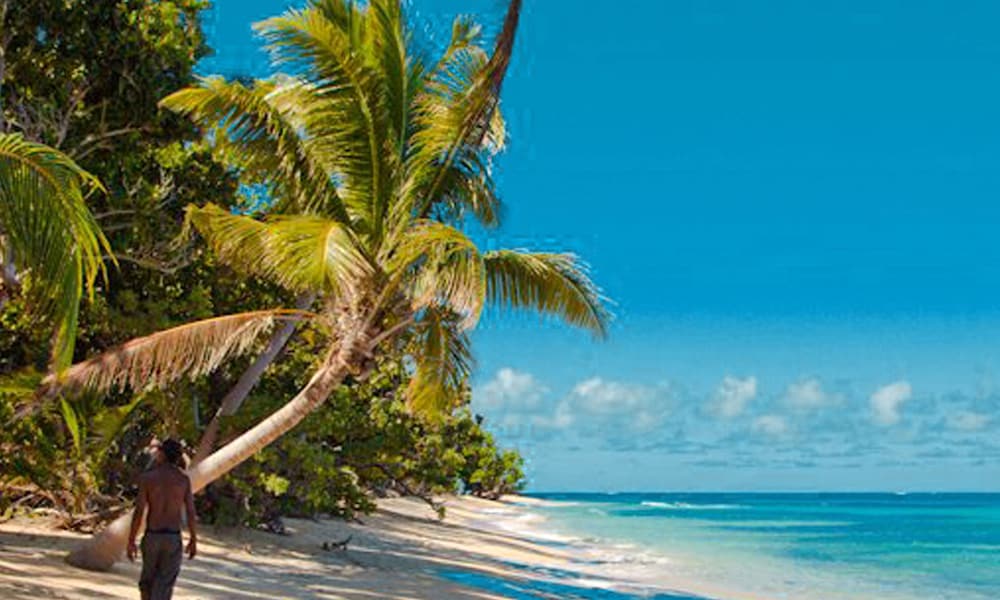 Maqai Beach Eco Resort 31/46