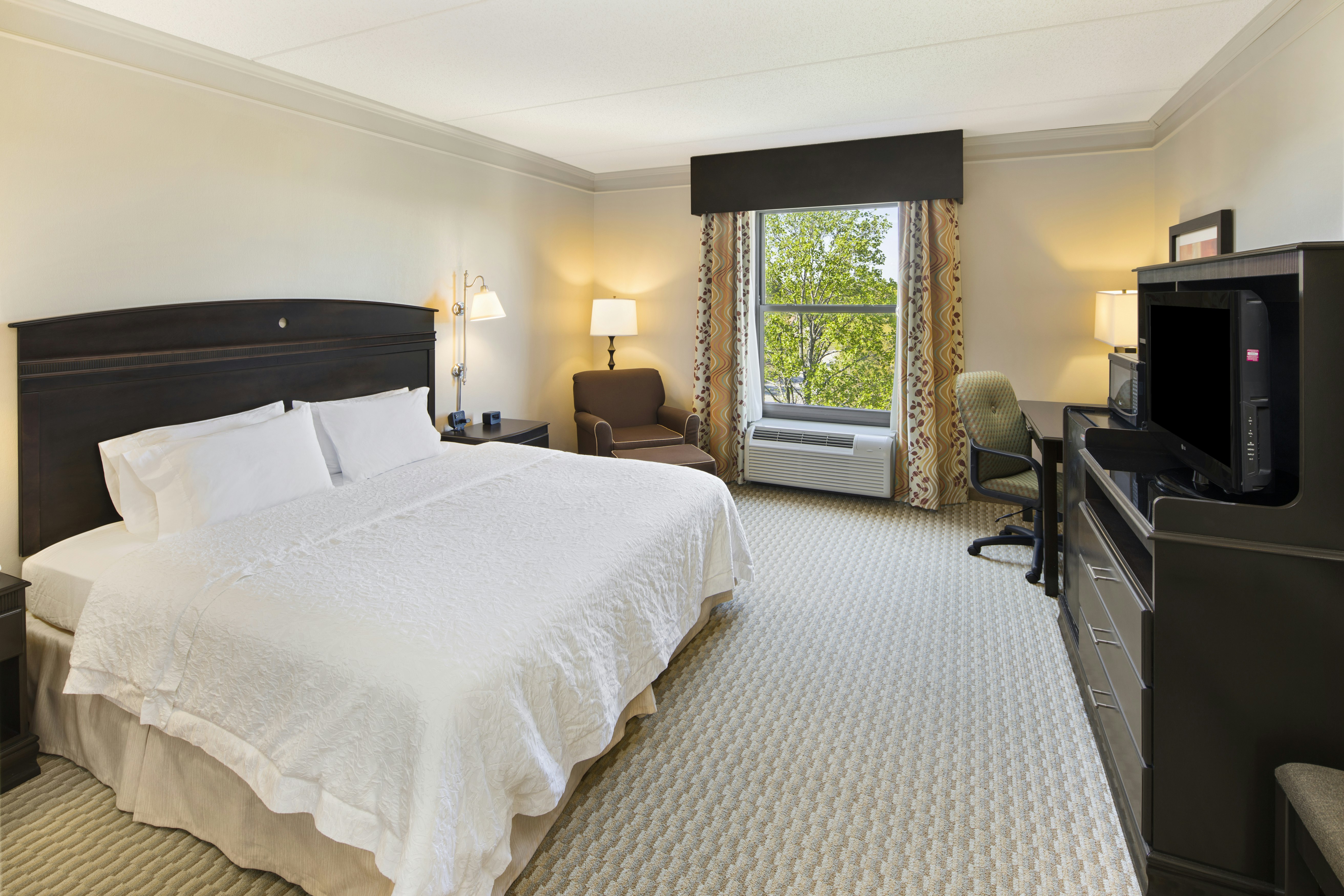 ROOM, KING BED, ACCESSIBLE