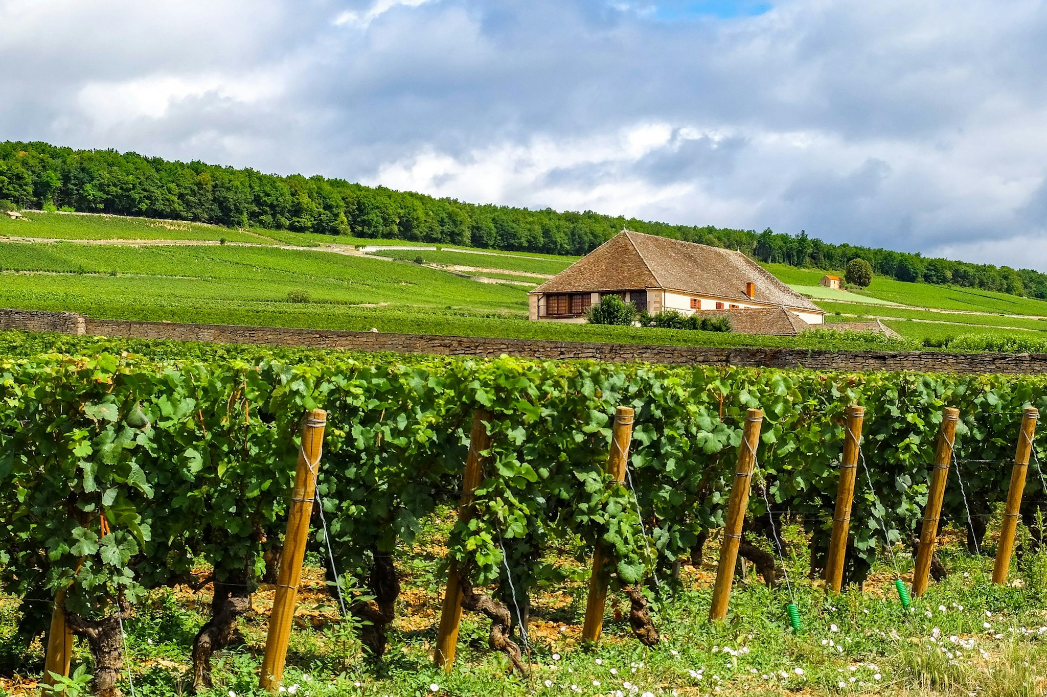 voco Beaune - Cite des Vins 52/60